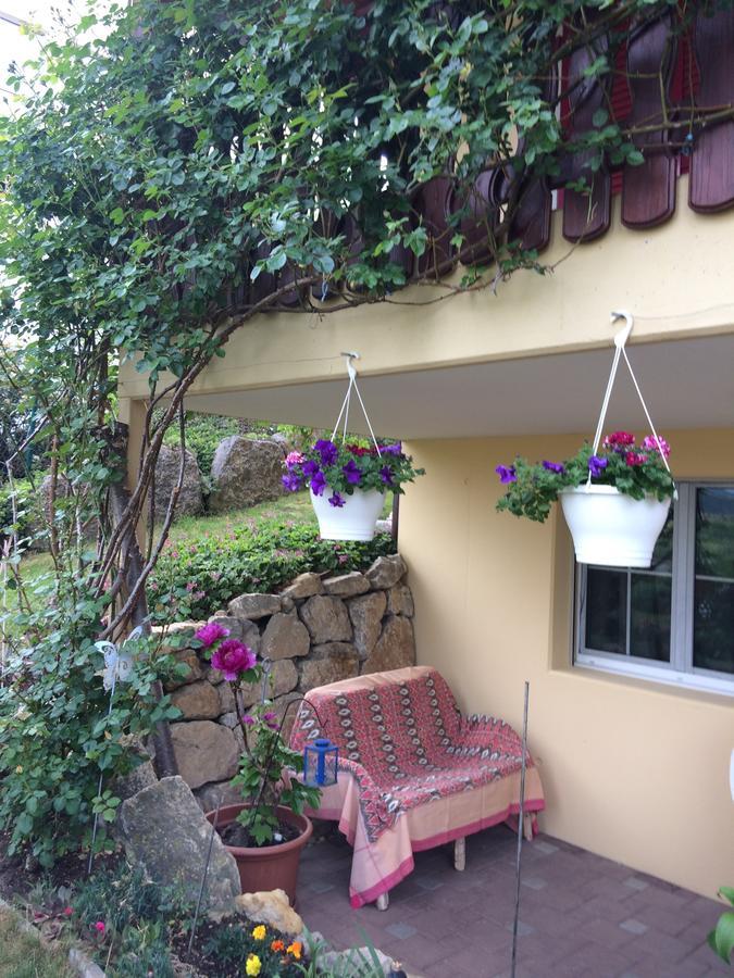Mona'S Sleep & Go Buren (Solothurn) Exterior foto